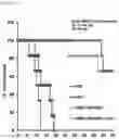 Fig. 04 - Anticancer composition comprising tumor-specific oncolytic adenovirus and immune checkpoint inhibitor
