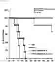 Fig. 06 - Anticancer composition comprising tumor-specific oncolytic adenovirus and immune checkpoint inhibitor