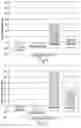 Fig. 02 - COMBRETUM LAURIFOLIUM MART. EXTRACT AND METHODS OF EXTRACTING AND USING SUCH EXTRACT