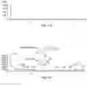 Fig. 09 - COMBRETUM LAURIFOLIUM MART. EXTRACT AND METHODS OF EXTRACTING AND USING SUCH EXTRACT