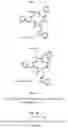 Fig. 02 - MACROCYCLIC PEPTIDES TO DECREASE C-MYC PROTEIN LEVELS AND REDUCE CANCER CELL GROWTH