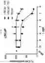 Fig. 09 - MACROCYCLIC PEPTIDES TO DECREASE C-MYC PROTEIN LEVELS AND REDUCE CANCER CELL GROWTH