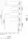 Fig. 09 - BCMA chimeric antigen receptors