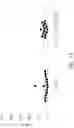 Fig. 22 - BCMA chimeric antigen receptors