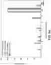 Fig. 09 - Ionic liquids for transdermal drug delivery