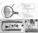Fig. 09 - METHOD FOR PROVIDING OCULAR NEUROPROTECTION OR FOR PREVENTING, TREATING OR ALLEVIATING THE EFFECTS OF, AN OCULAR DISEASE ASSOCIATED WITH RETINAL GANGLION CELL DEATH