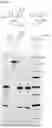 Fig. 02 - Selective reduction of cysteine-engineered antibodies
