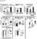 Fig. 12 - Synthetic Scaffolds for Metastasis Detection