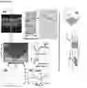 Fig. 13 - Synthetic Scaffolds for Metastasis Detection