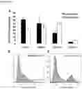 Fig. 15 - Synthetic Scaffolds for Metastasis Detection