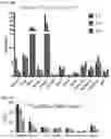Fig. 07 - Imaging agents and uses thereof