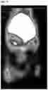 Fig. 09 - Imaging agents and uses thereof