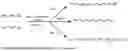 Fig. 01 - Multi-arm block-copolymers for multifunctional self-assembled systems