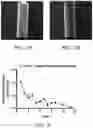 Fig. 07 - Multi-arm block-copolymers for multifunctional self-assembled systems