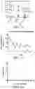 Fig. 09 - Multi-arm block-copolymers for multifunctional self-assembled systems