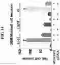 Fig. 15 - Biomaterials for neuronal implants and use of said biomaterials in the diagnosis and therapy of neuronal diseases