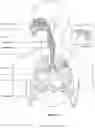 Fig. 05 - Humidifier reservoir