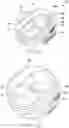 Fig. 52 - Catheter securement, stabilization, and antimicrobial device