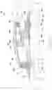 Fig. 56 - Catheter securement, stabilization, and antimicrobial device