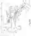 Fig. 06 - Multi-balloon instrument for dilating eustachian tube via middle ear
