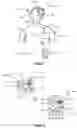 Fig. 02 - Adjustment of therapeutic stimulation