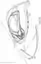 Fig. 19 - Multi-material golf club head