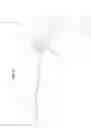 Fig. 09 - TOY RESERVOIR TO GENERATE FOAM STRING OR THE LIKE