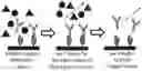 Fig. 01 - Modified adsorptive surfaces