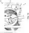 Fig. 14 - Apparatus, method and system for wet or dry processing of plant material