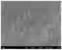 Fig. 01 - Transparent conductive substrate and method for producing same