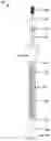 Fig. 01 - Suction Cover Gland Tool