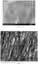 Fig. 07 - Method for preparing high performance polymer-based conductive composites by space-limited micro-nano precision assembly method