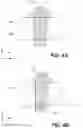 Fig. 09 - Induction heating cells including pressure bladders