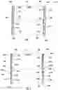 Fig. 02 - Sliding golf cart windshield assembly