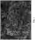 Fig. 02 - Crystalline metallophosphates, their method of preparation, and use