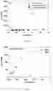 Fig. 08 - Method for initiating a graphene oxide through reduction by a reductant to controllably release organic compounds