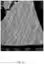 Fig. 06 - SURFACE EFFECT POLYMER DERIVED CERAMICS, METHODS, MATERIALS AND USES