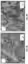 Fig. 09 - Porous ceramic structure for carbon dioxide capture