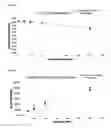 Fig. 02 - QUINOLONE-3-DIARYLETHERS