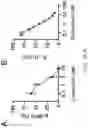 Fig. 04 - MAP kinase modulators and uses thereof