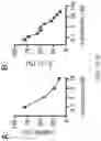 Fig. 07 - MAP kinase modulators and uses thereof