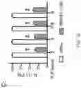 Fig. 08 - MAP kinase modulators and uses thereof