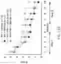 Fig. 32 - MAP kinase modulators and uses thereof