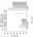 Fig. 37 - MAP kinase modulators and uses thereof