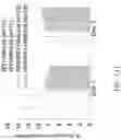 Fig. 40 - MAP kinase modulators and uses thereof
