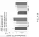 Fig. 47 - MAP kinase modulators and uses thereof