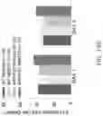 Fig. 48 - MAP kinase modulators and uses thereof