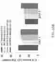 Fig. 52 - MAP kinase modulators and uses thereof