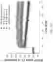 Fig. 67 - MAP kinase modulators and uses thereof