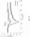 Fig. 68 - MAP kinase modulators and uses thereof